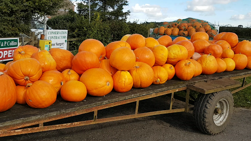 V & P Collins Farm Shop Gallery - United Kingdom