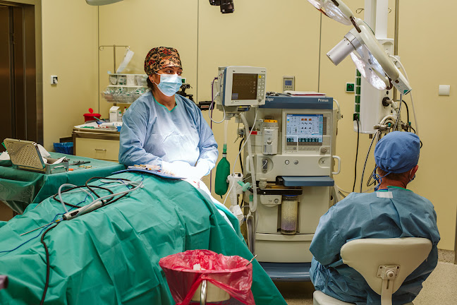 Godziny otwarcia Centrum Medyczne AMC ART MEDICAL CENTER w Szczecinie