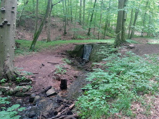 Cöthener Park - Visual