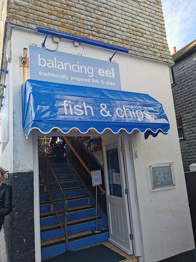 The Balancing Eel - Visual