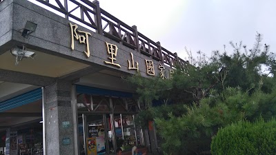 photo of 碧湖山観光茶園