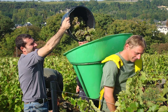 Domaine Vincent Carême