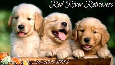 Red River Retrievers