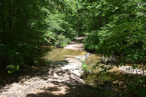 Troublesome Hollow Primitive Campsites - Thumbnail