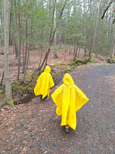 Milford Knob Trailhead - Thumbnail