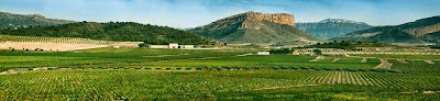 Photos of Bodegas Hijos de Juan Gil