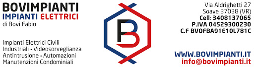 Bovimpianti - Visual