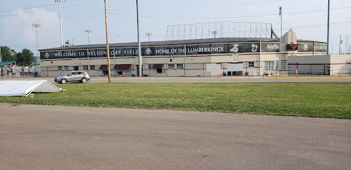 NelsonCorp Field - Visual