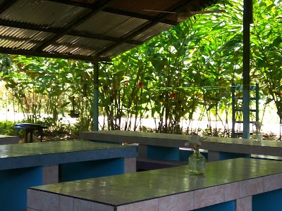 Photos of Paradise Tropical Garden