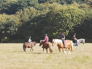 Photo n°11 de La Harelle des Chevaux à La Chapelle-Longueville (Centre équestre)
