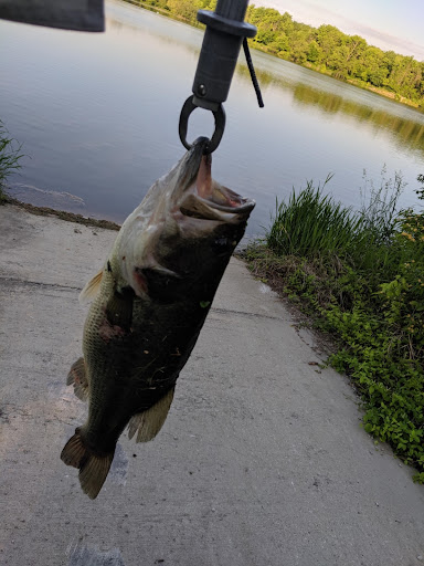 Florinda's Bait & Tackle - Thumbnail