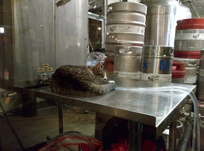 Photos of Seventh Son Brewing Co.