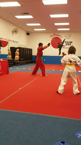 Team USA Martial Arts - karate in Gilbert, Arizona