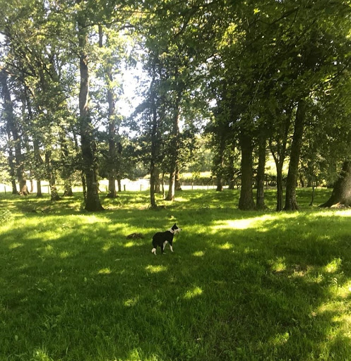 Court Farm Camping - Thumbnail