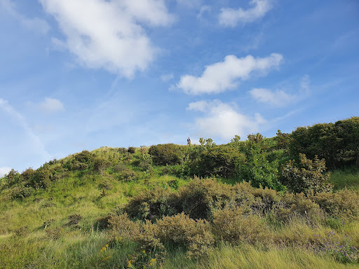 Kachelduin route - Staatsbosbeheer