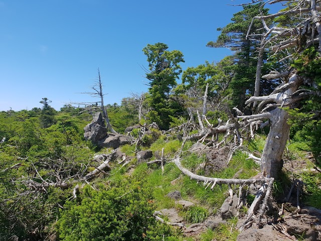 Hallasan National Park