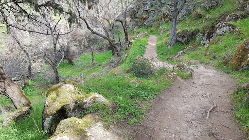 Arroyo De Trofa Gallery - Spain
