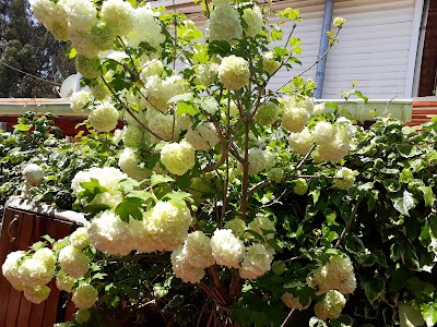 Photos of Vivero Francisco De Asis