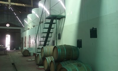 Photos of Bodega Ansilta