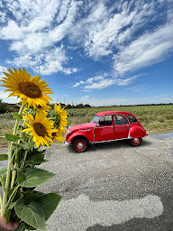 Photo n°4 de 2CV-RALLYE à Montolieu (Agence de location de voitures)