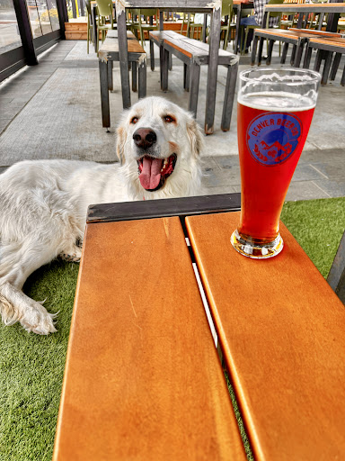 Denver Beer Co. Littleton - Thumbnail