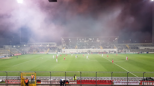 Grünwalder Stadion - Visual