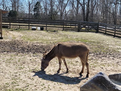 Chippokes Farm and Forestry Museum