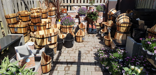 Richard's Plants - Visual