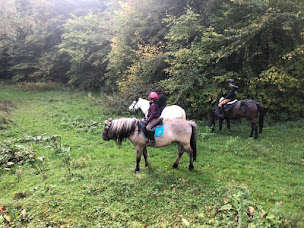 Photo n°3 de Centre équestre du château à Verneuil-en-Halatte (Centre équestre)