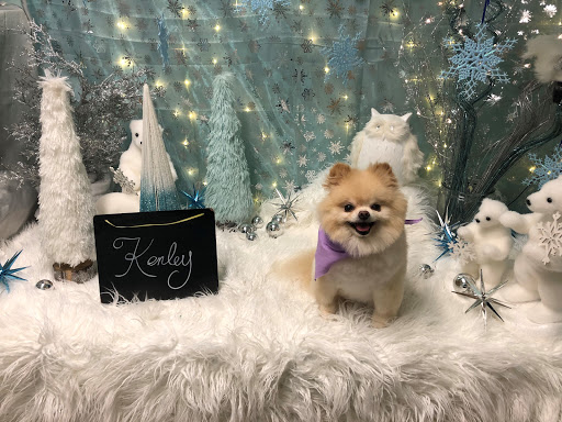 KNOTTY Paws Gallery - United States