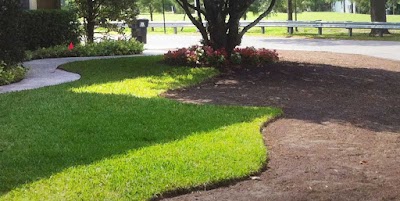 Photos of Palm City Sod