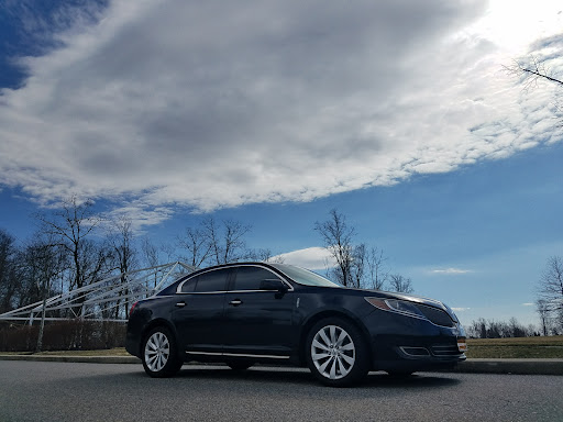 Carmel Yorkie's Limo - Thumbnail