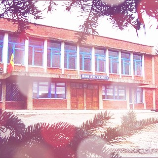 school
