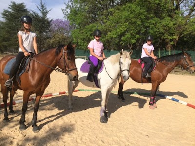 Photos of Inchanga Stables