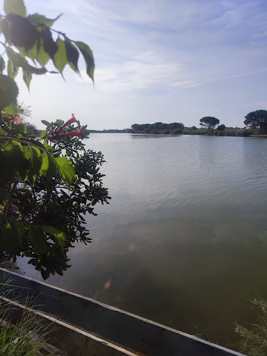 Camargue Paradise - Thumbnail