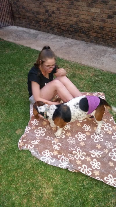 Photos of Park Veterinary Hospital