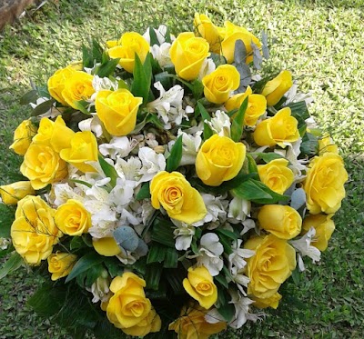 Photos of Florister&iacute;a Armony