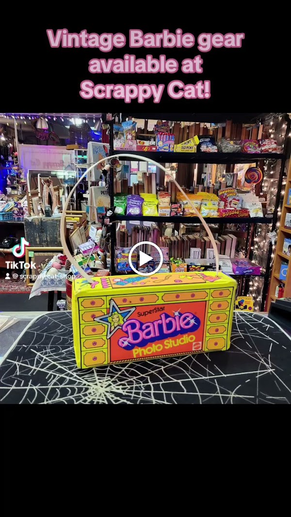 Scrappy Cat (a curiosity shop) photo 2