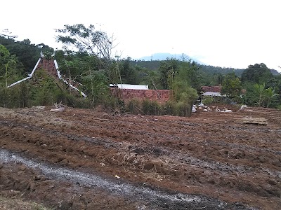 Photos of Pawaka Valley
