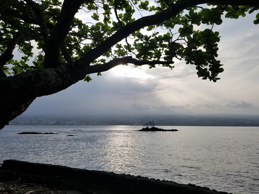 Waiakea Forest Reserve - Thumbnail