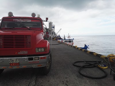 Photos of Exporcol 2