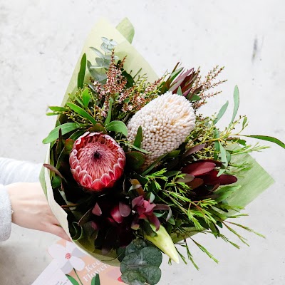 Photos of Flowers Across Melbourne