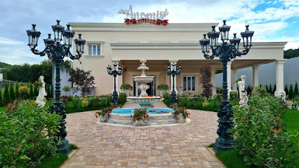 Anomis Events & More