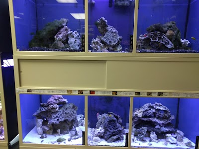 Photos of Tropic Cove