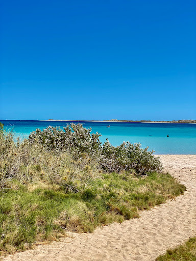 Bill's Bay - Thumbnail