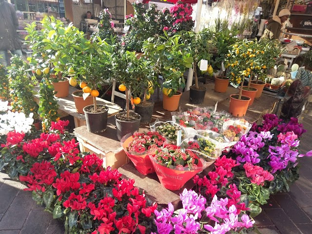 Parking Saleya Marché aux Fleurs