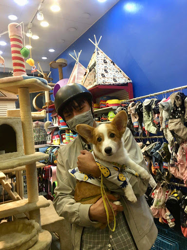 Pet