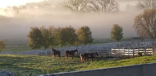 Deerwood Farm - Thumbnail