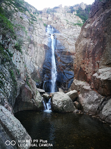 Sa Spendula - Visual