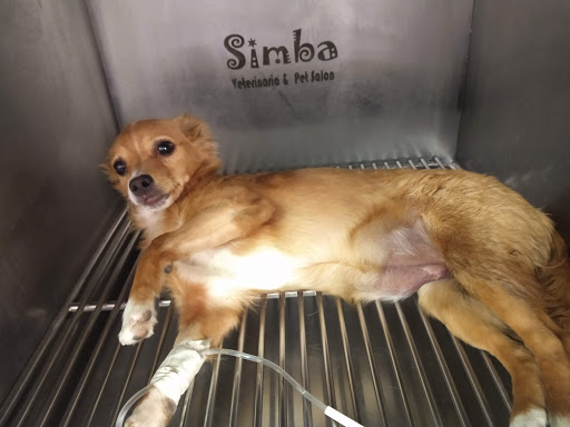 Simba Veterinaria y Pet Salón Logo